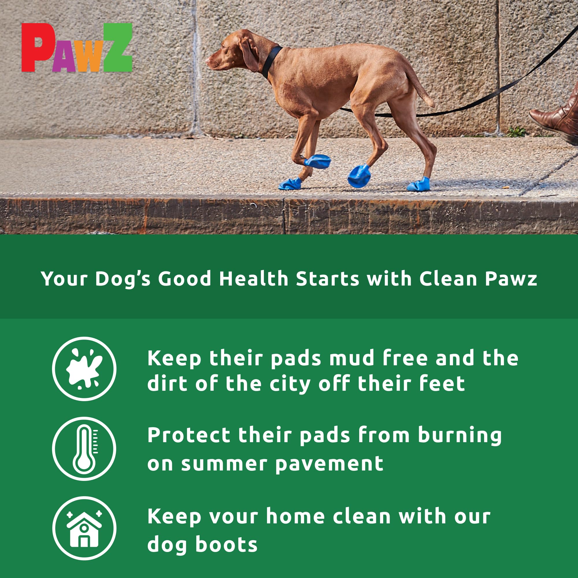 Protex PawZ en terreno mojado para más seguridad