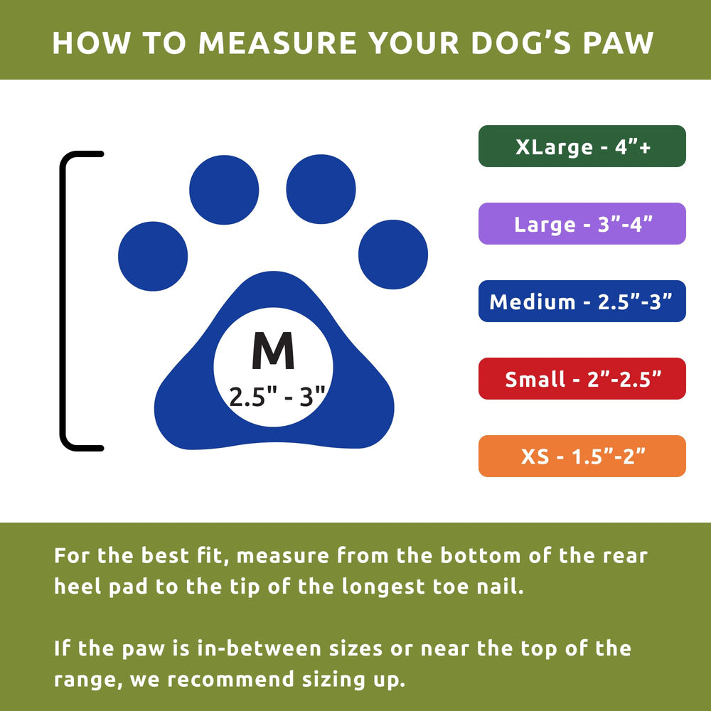 Protex PawZ: protección contra calor de pavimentos en días soleados.