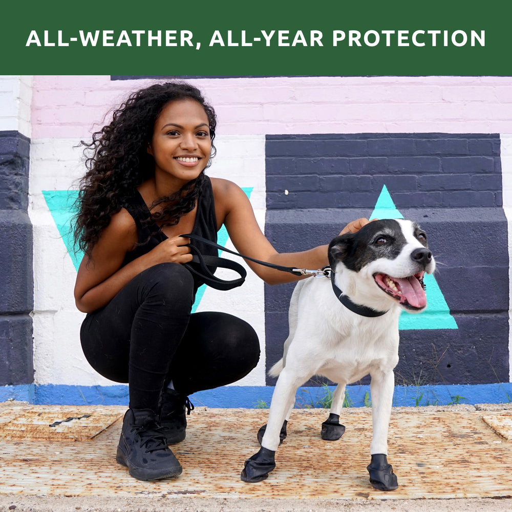 Protección contra calor de pavimento con botas para perros Protex PawZ