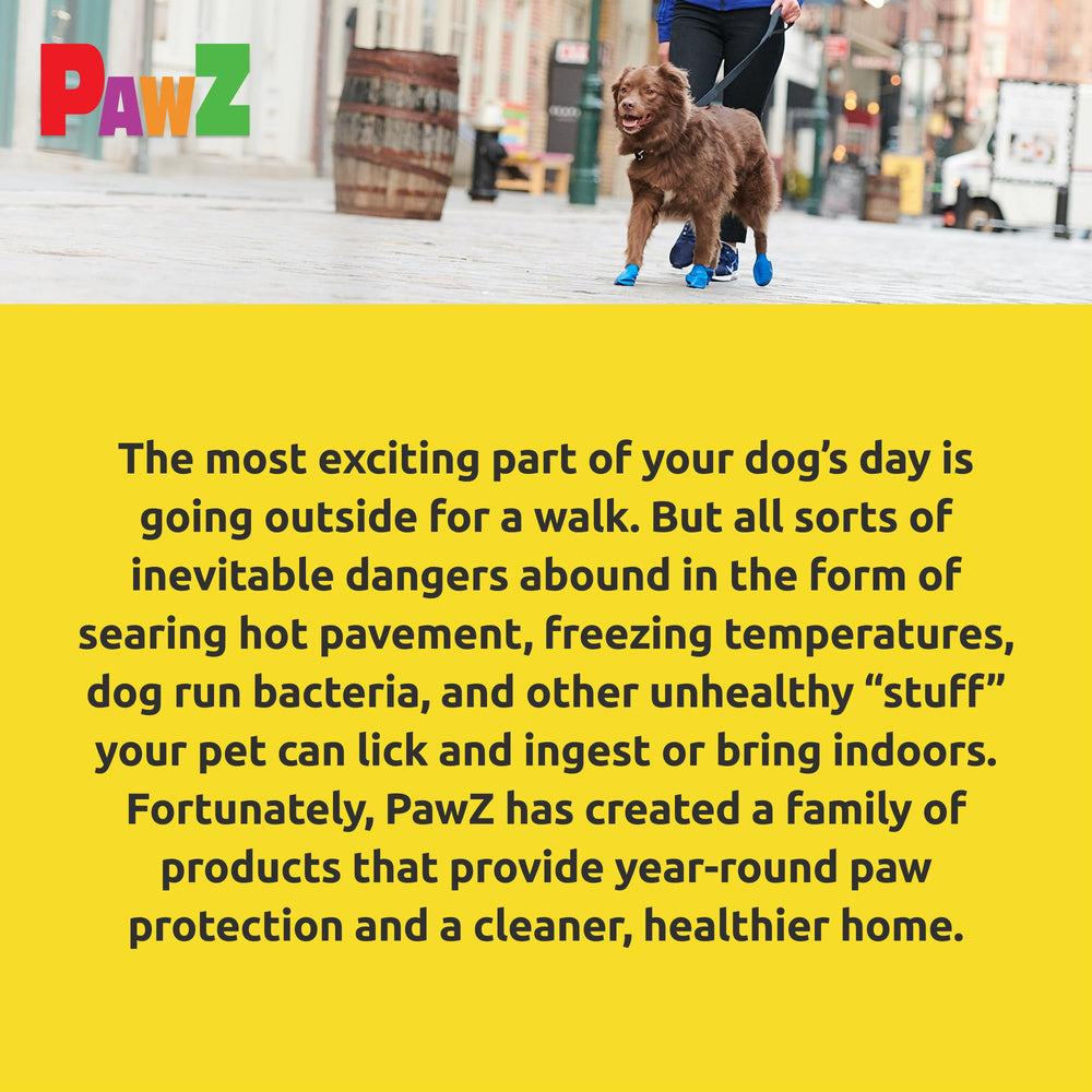 Pack de 12 botas Protex PawZ para uso diario de perros.