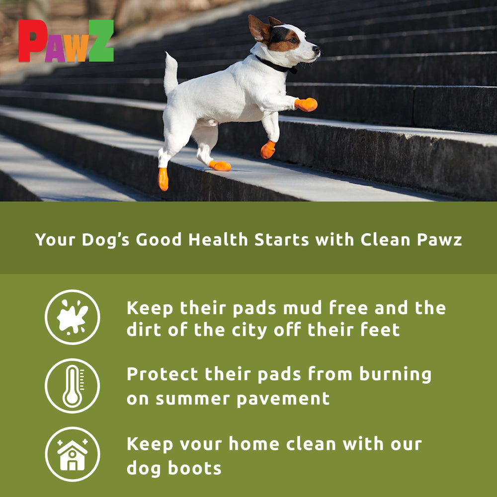 Protex PawZ botas para patas en hielo y nieve, agarre seguro