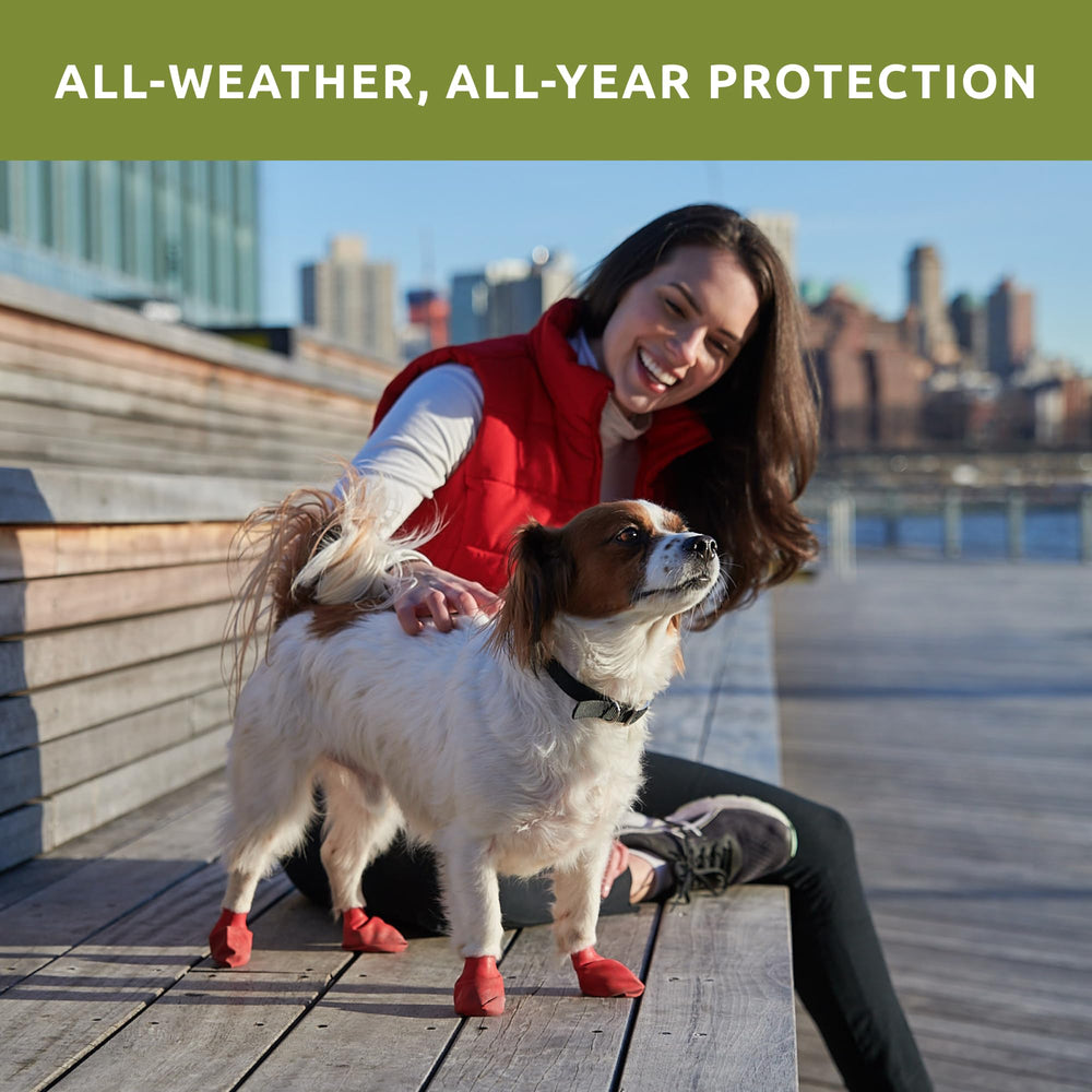 Botas Protex PawZ para patitas en paseo de nieve