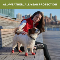 Botas Protex PawZ para patitas en paseo de nieve