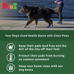 Pies protegidos en lluvia y nieve con las botas impermeables Protex PawZ