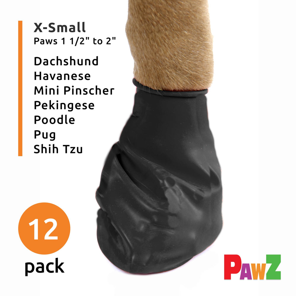 Botas Protex PawZ para perro pequeño en nieve, mantienen patas secas.