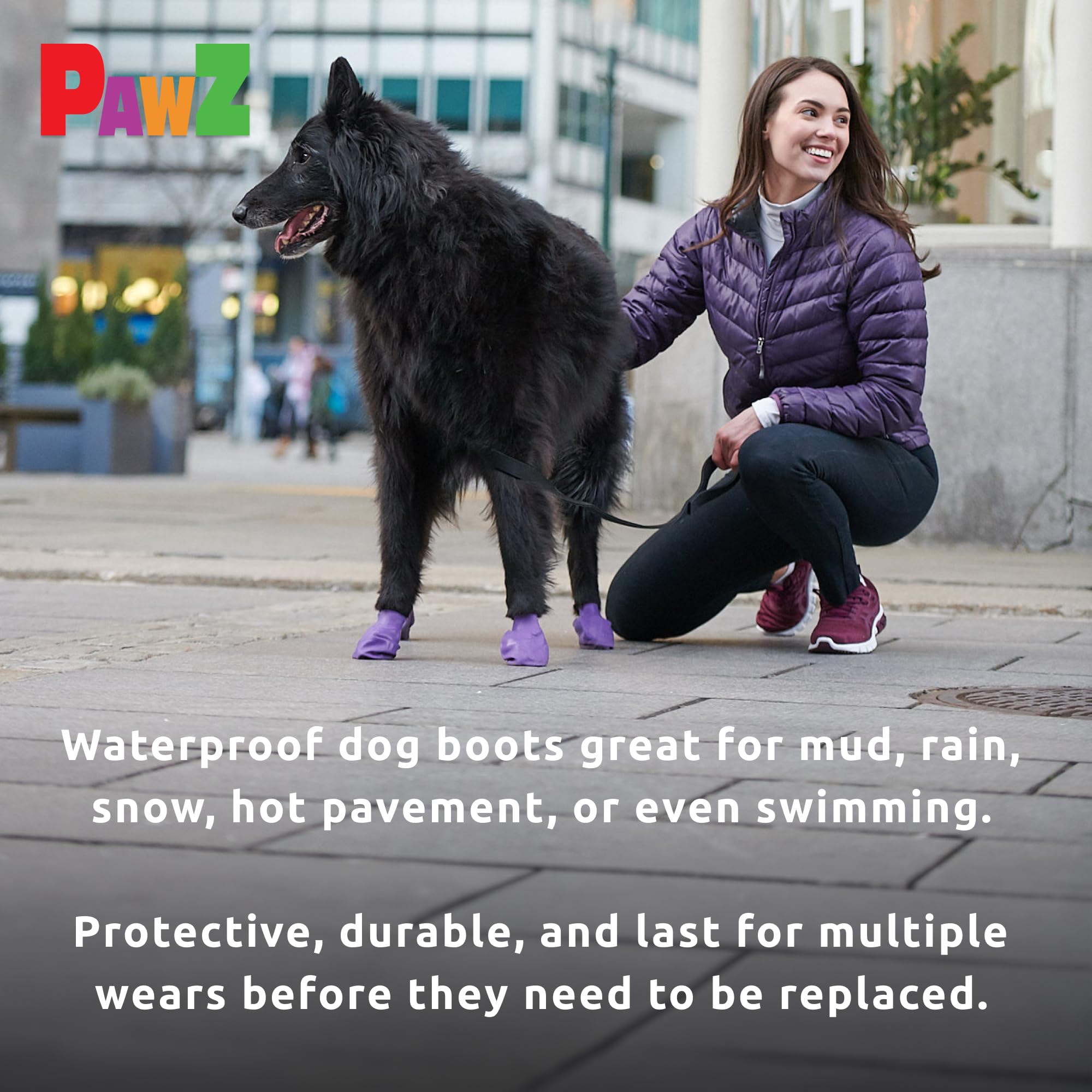 Perro caminando bajo lluvia con botas Protex PawZ.