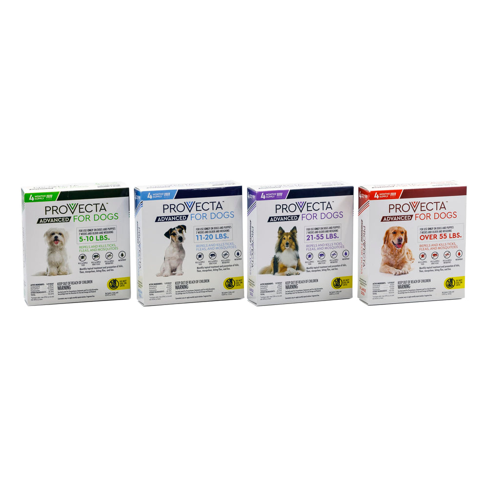 Provecta cuida el bienestar de perros grandes con protección continua.