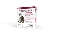PROVECTA II aplicador tópico para gatos, protección contra pulgas.