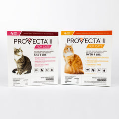 PROVECTA II caja de suministro 4 meses, protección antipulgas para gatos.