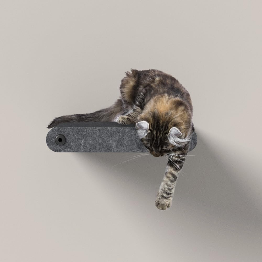 Pryde Pets escalones de gato para pared: acceso rápido y enriquecimiento felino.