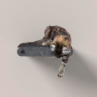 Pryde Pets escalones de gato para pared: acceso rápido y enriquecimiento felino.