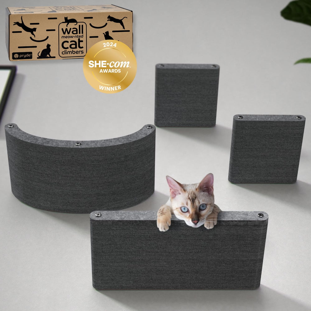 Pryde Pets estanterías de pared para gatos, conjunto de 4, acabado carbón, seguro y estable.