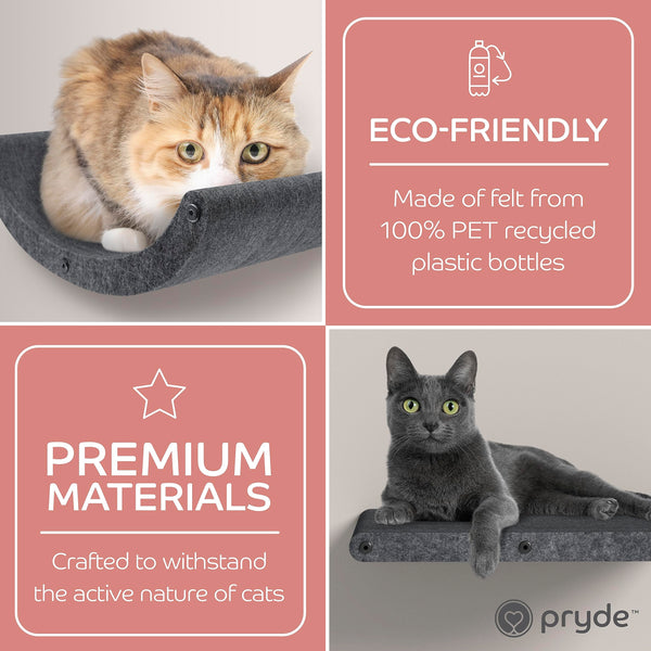 Pryde Pets uso en interiores: ideal para gatos activos y curiosos.
