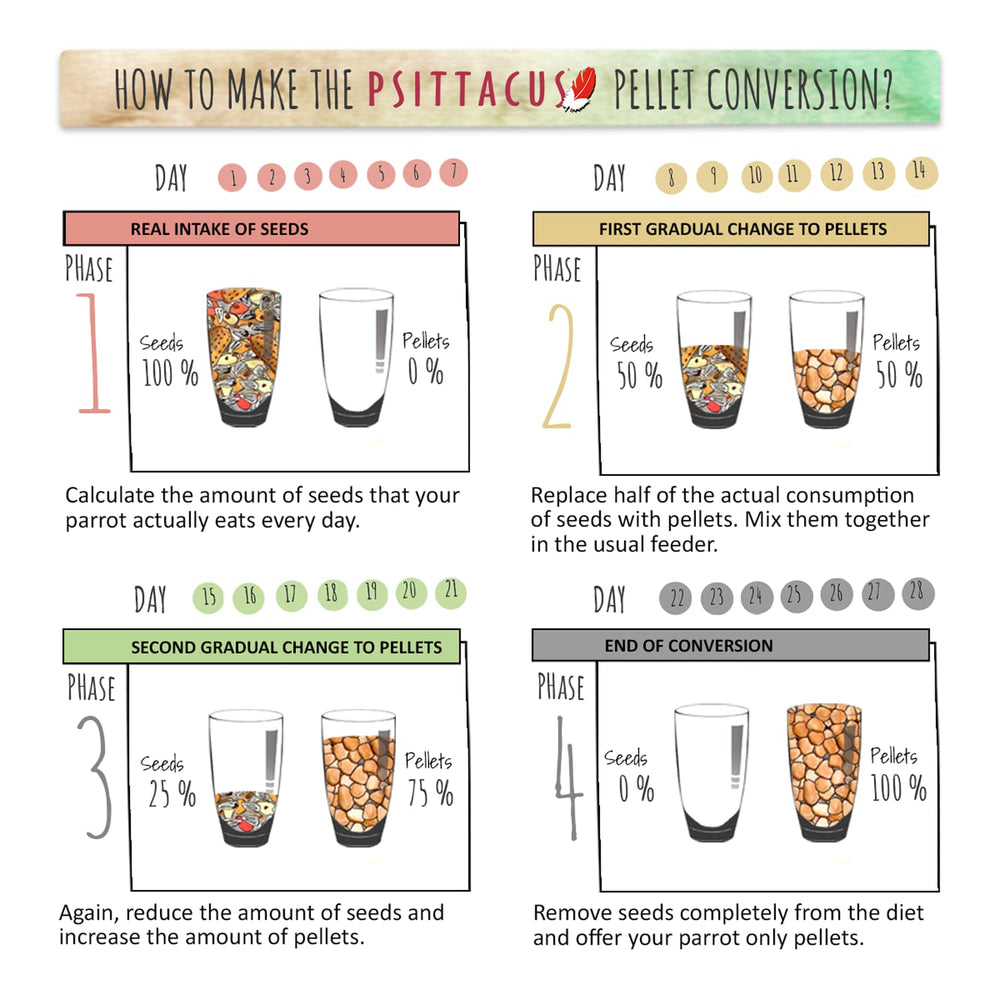 Psittacus Minor: proceso de extrusión que concentra nutrientes para aves pequeñas.