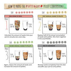 Psittacus Minor: proceso de extrusión que concentra nutrientes para aves pequeñas.