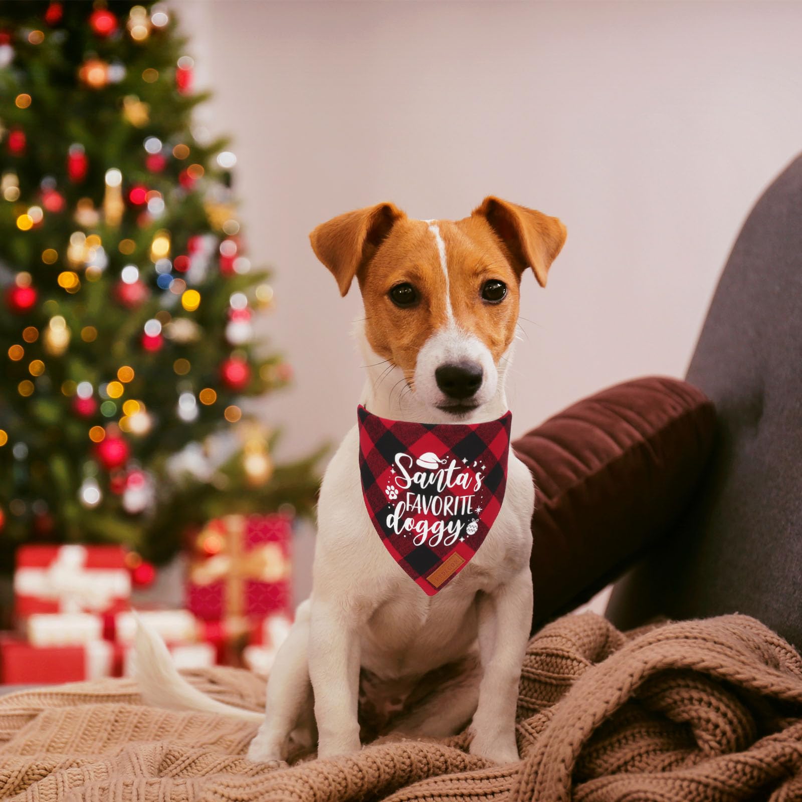 Talla grande PTDECOR, ajuste cómodo para perros medianos y grandes.