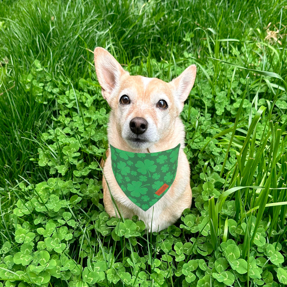 PTDECOR bandana con estampado de trébol verde para ocasiones festivas.