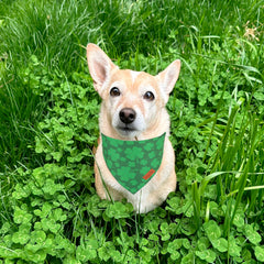 PTDECOR bandana con estampado de trébol verde para ocasiones festivas.