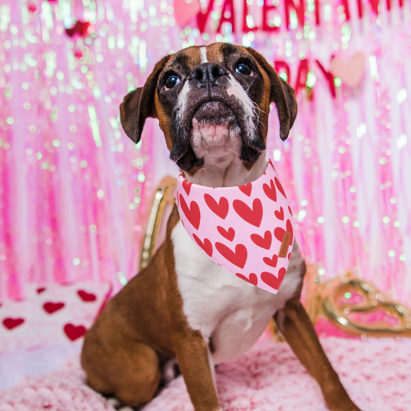 PTDECOR bandana de San Valentín, tres tallas para perros, ajuste cómodo.