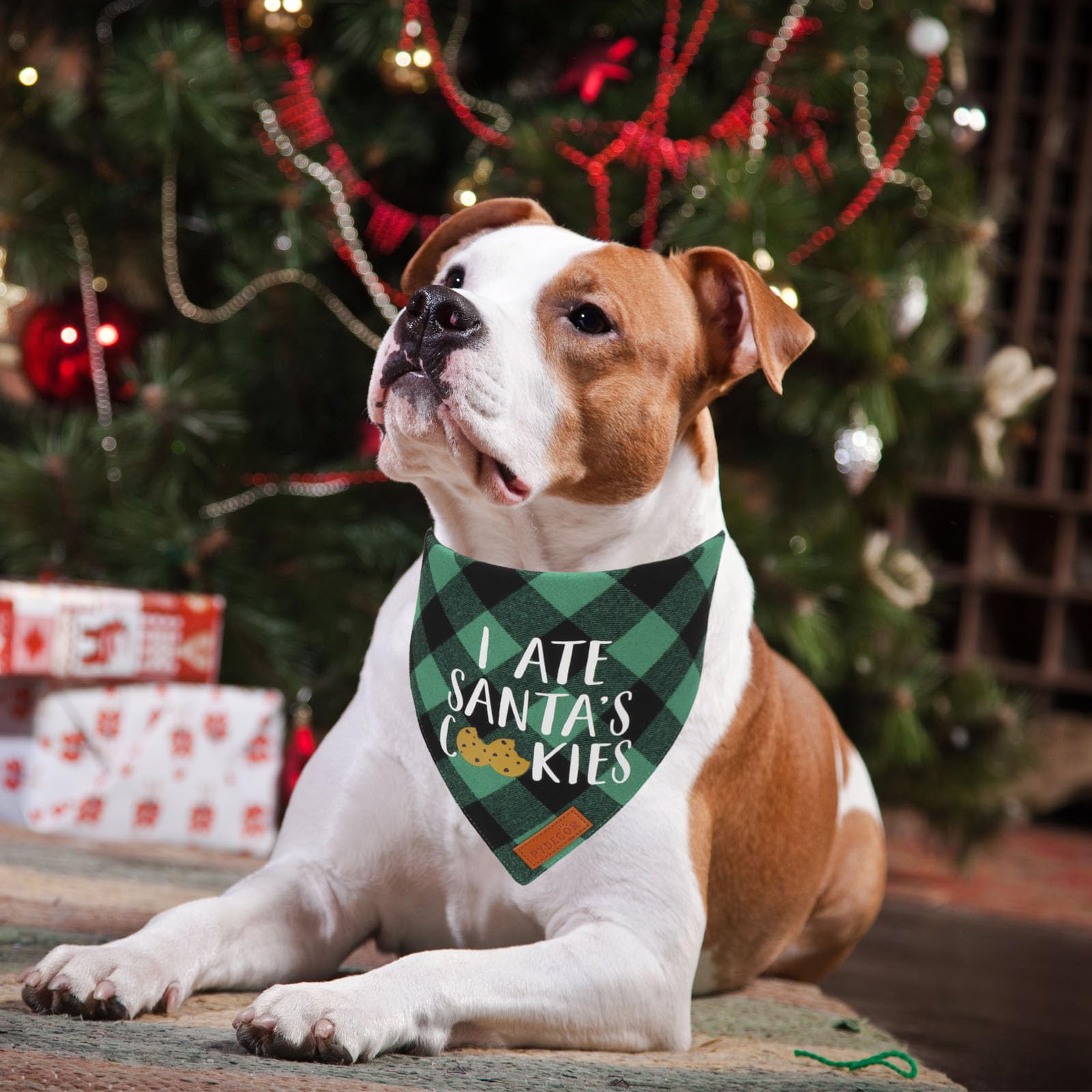PTDECOR bandanas navideñas para perro, verde con cuadros, perfecto para fiestas
