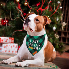 PTDECOR bandanas navideñas para perro, verde con cuadros, perfecto para fiestas