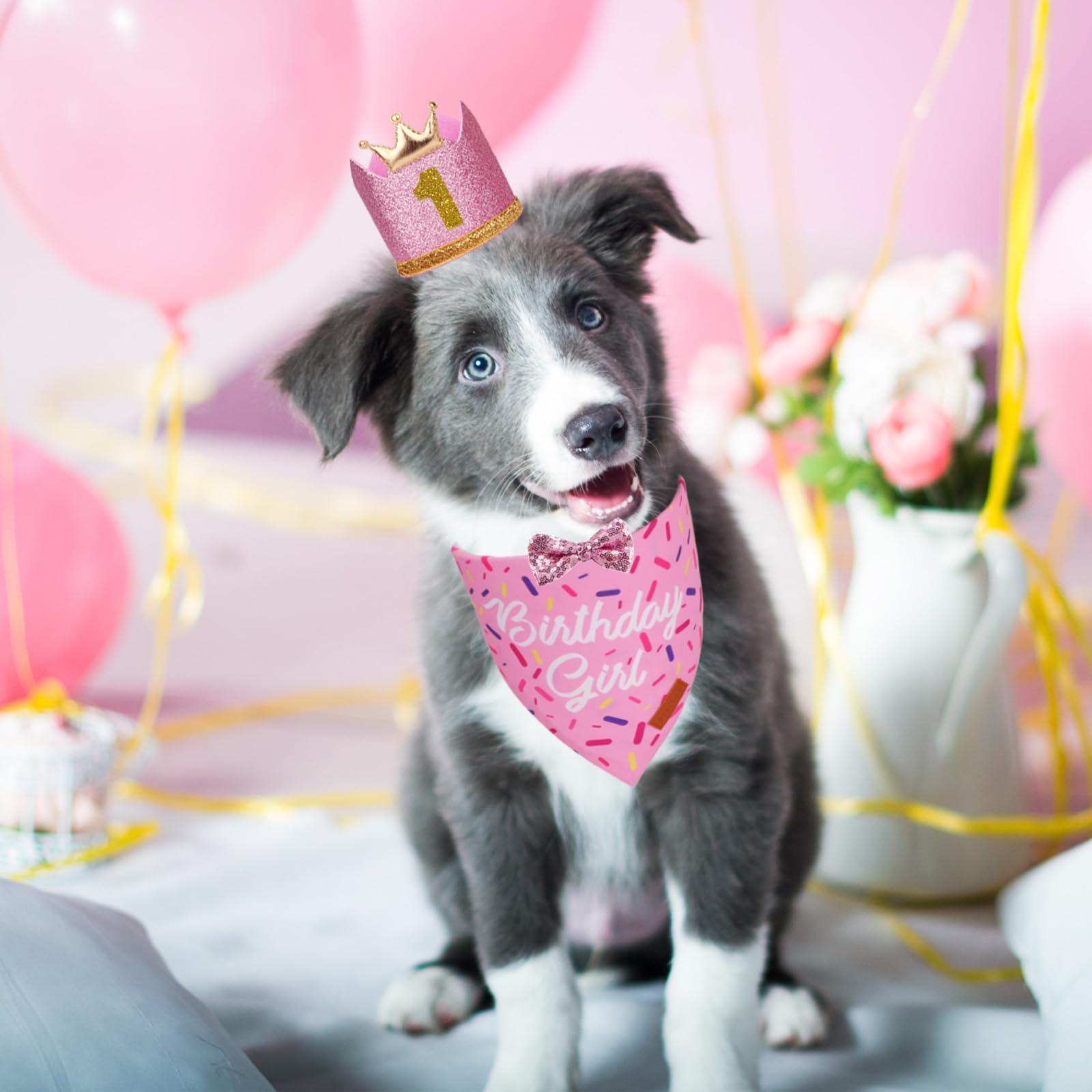 PTDECOR sombrero con números para perro, práctico para celebrar el día especial