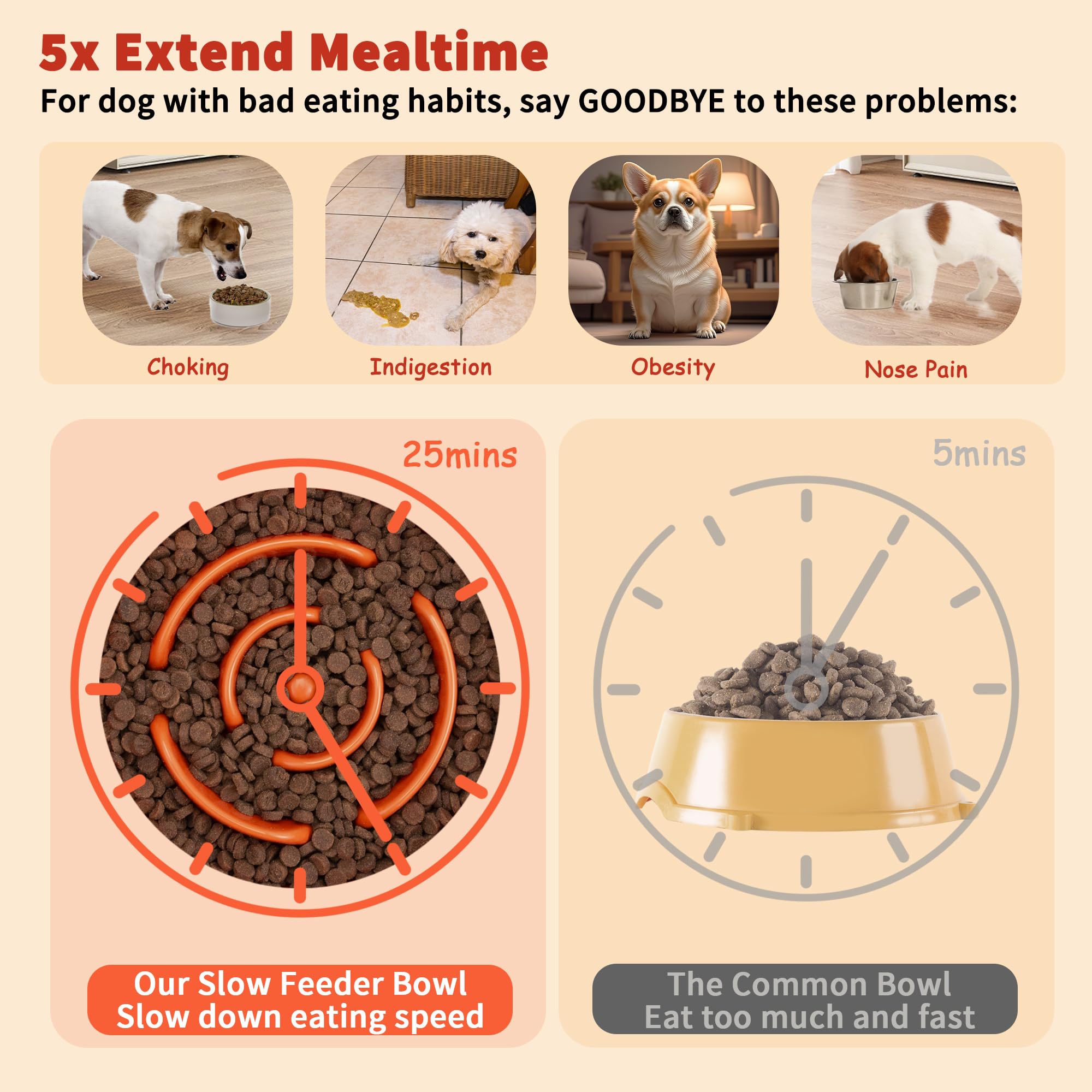 PTOBER diseño de alimentación lenta para perros pequeños y medianos.