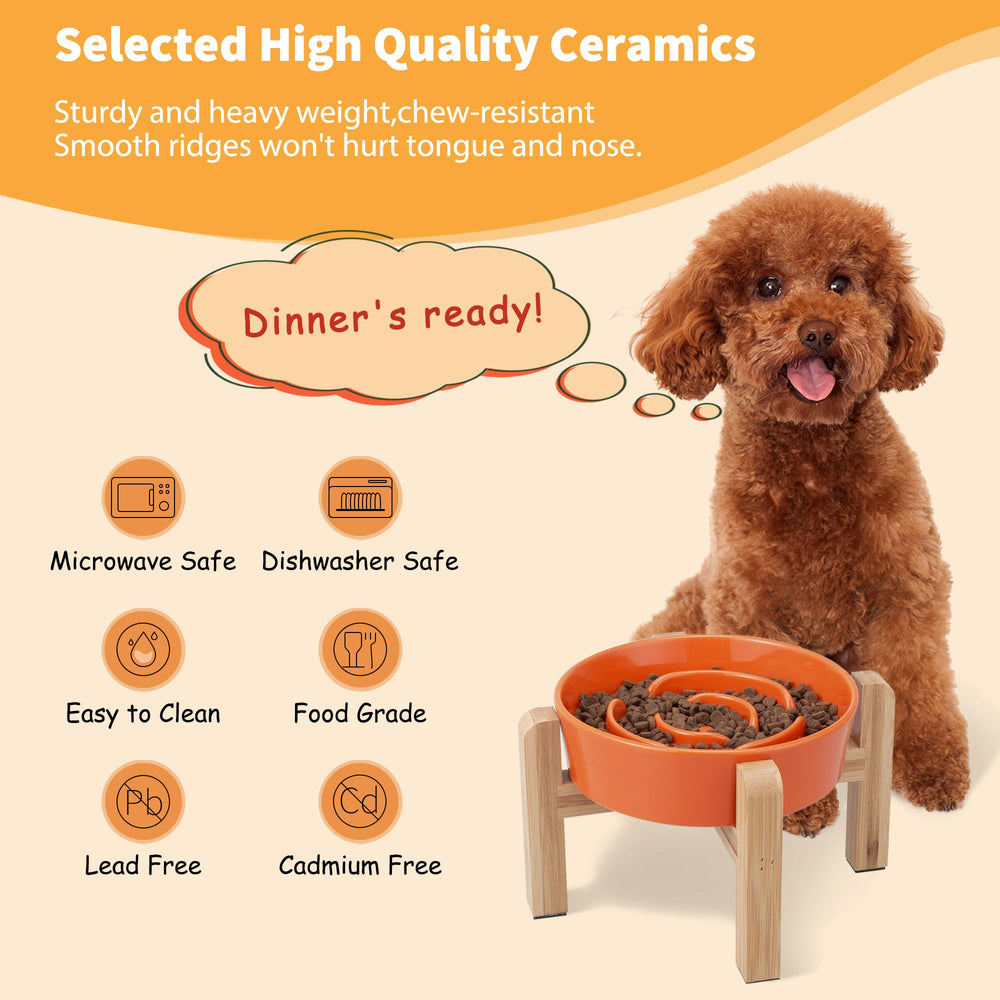 PTOBER adecuado para perros pequeños y medianos durante la comida.