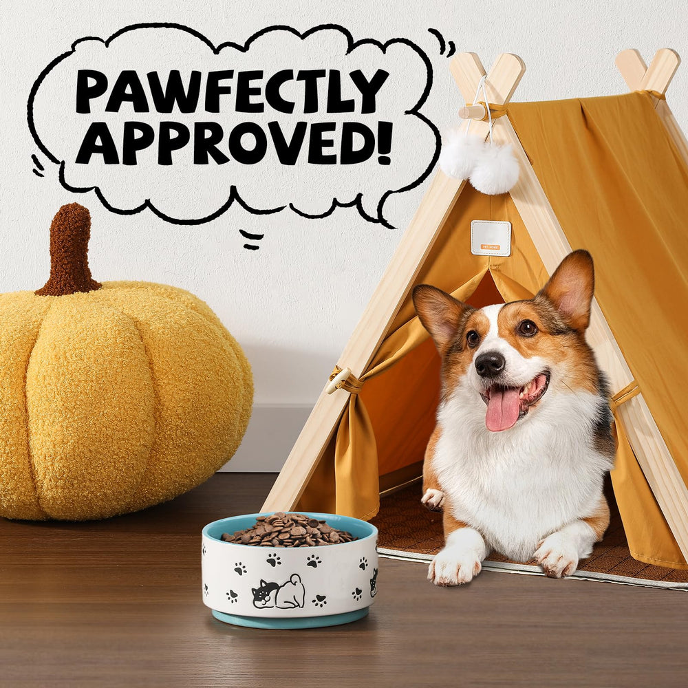 PTOBER regalo moderno para amantes de mascotas en teal.