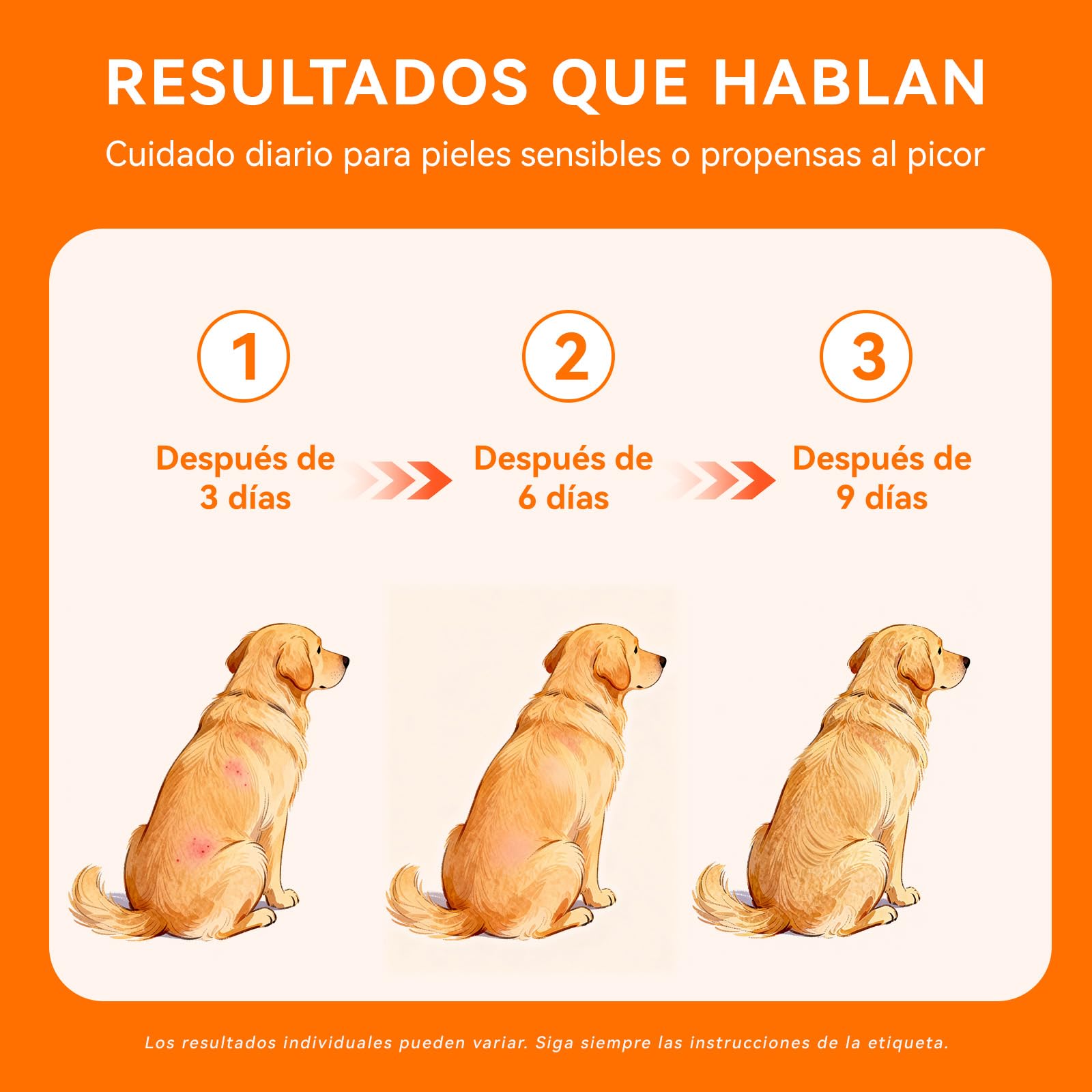 Aplicación para perros con PUAINTA Hot Spot Spray en zonas afectadas