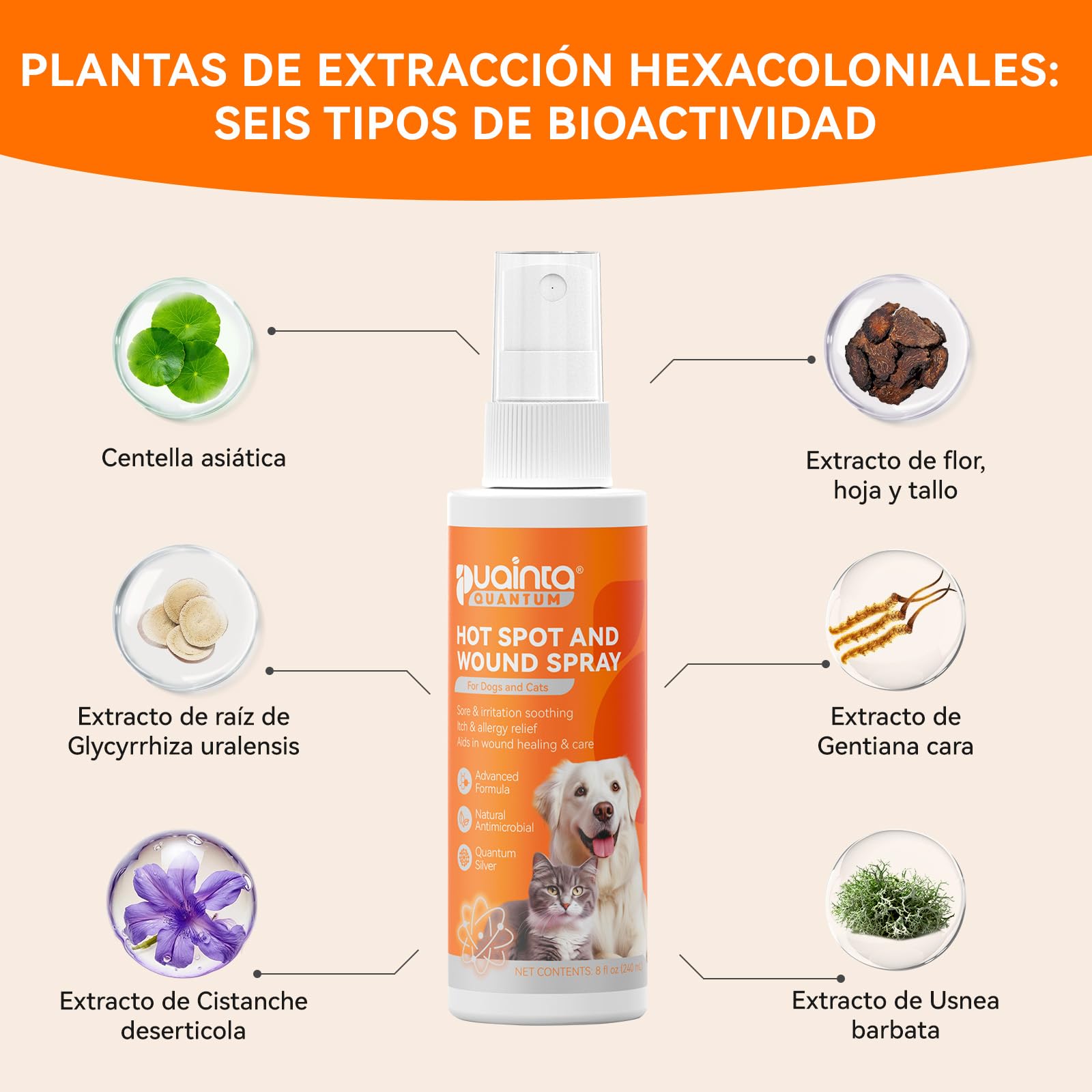 Ingredientes naturales de PUAINTA Hot Spot Spray para el cuidado de la piel