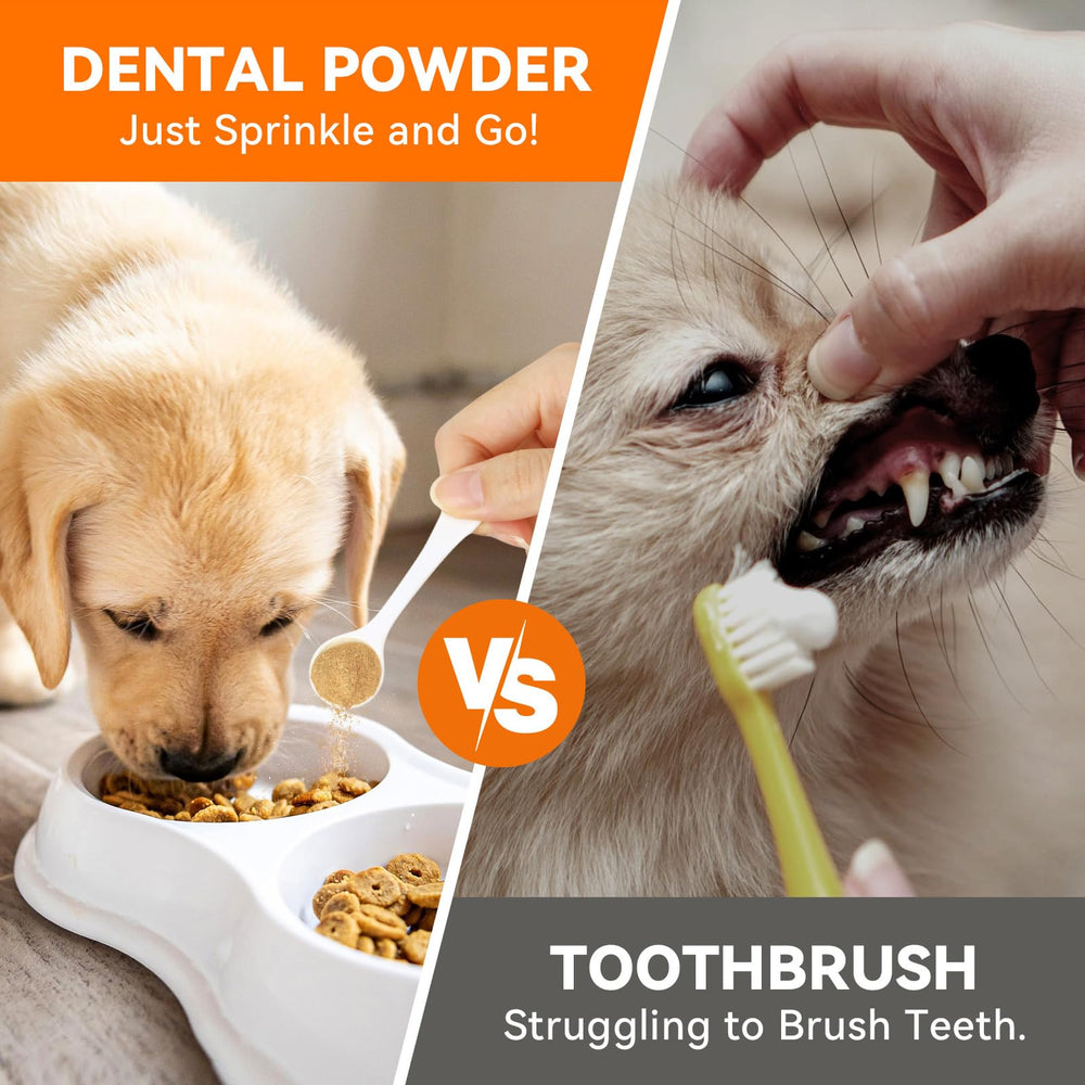 Uso sencillo de PUAINTA polvo dental mezclado en la comida