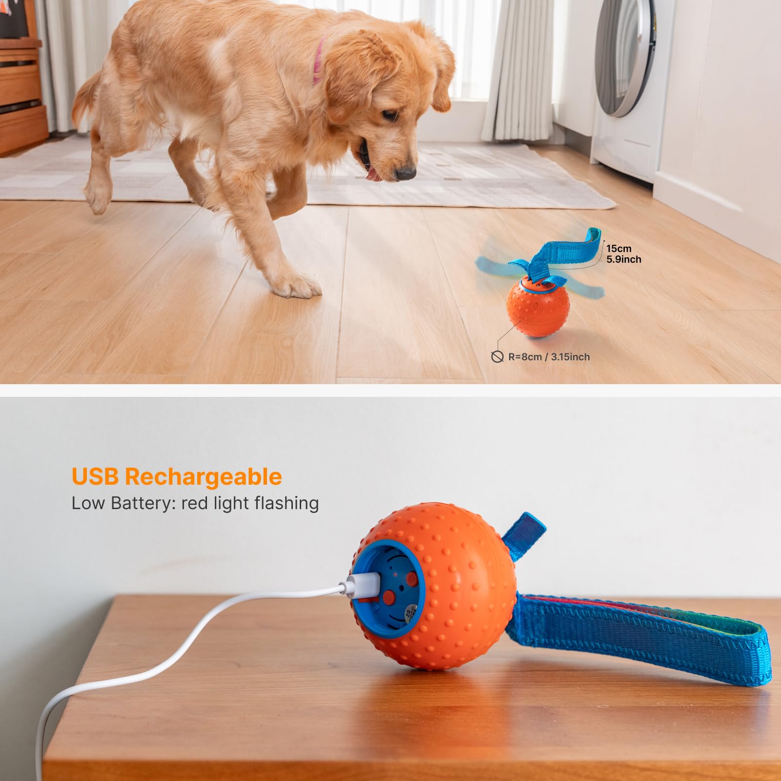 Pubialo Diseño seguro y duradero para perros de todas las edades.