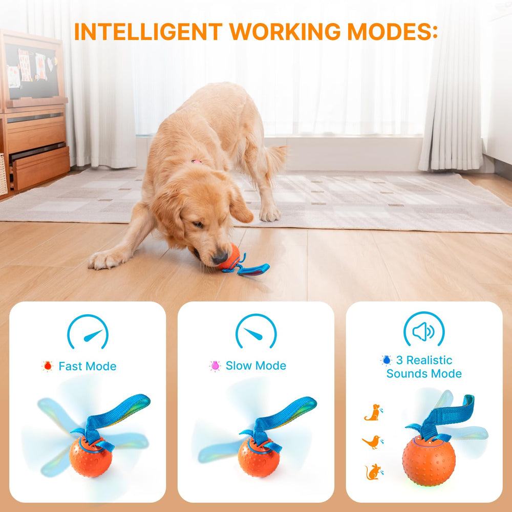 Pubialo Pelota para perros con modos inteligentes y sonidos.