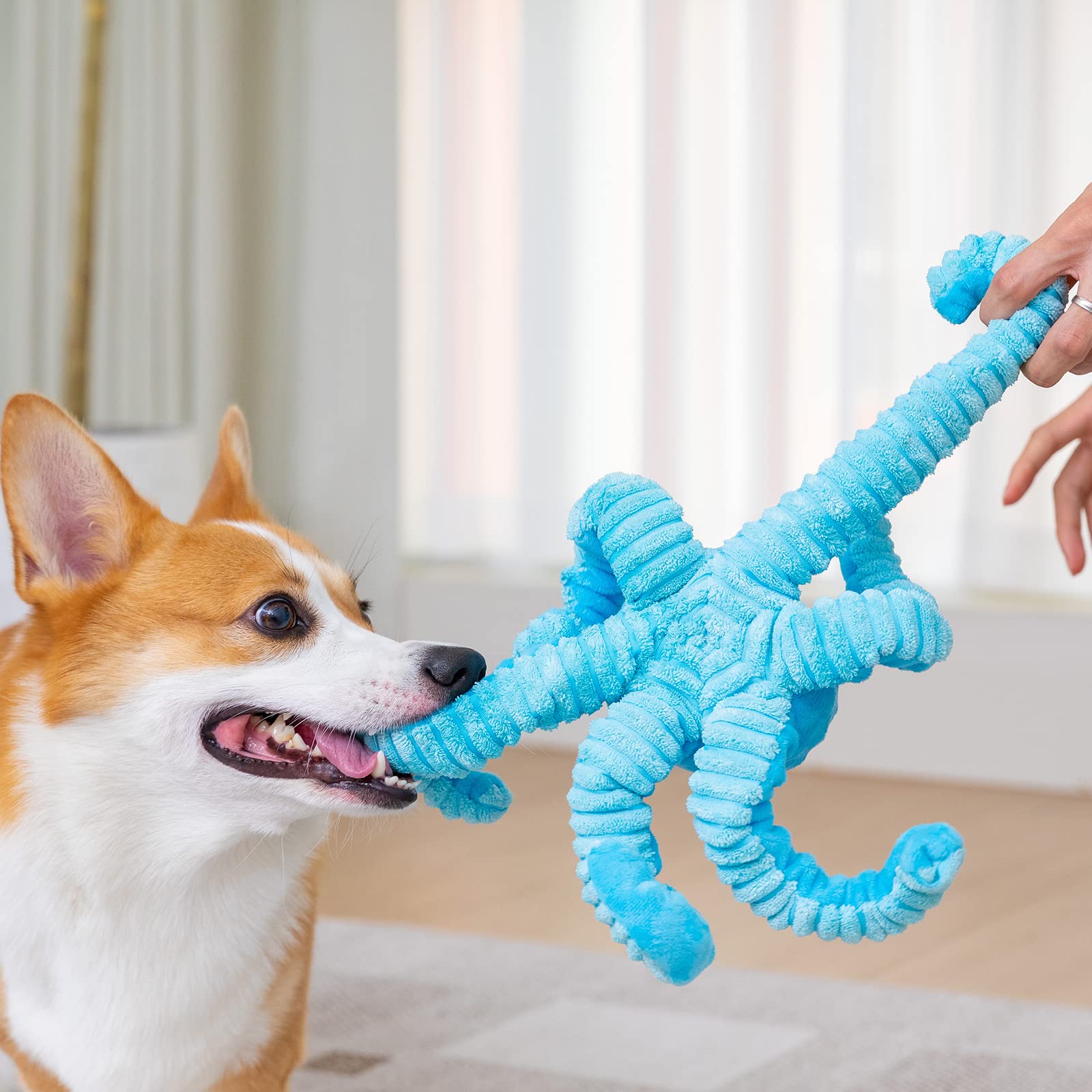 Pubialo Pulpo interactivo: chirriador interno para captar la atención durante el juego.