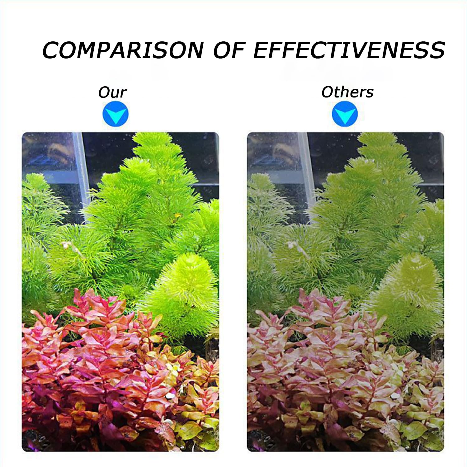 Brillo ultra alto PUEUTU realza colores de peces y plantas