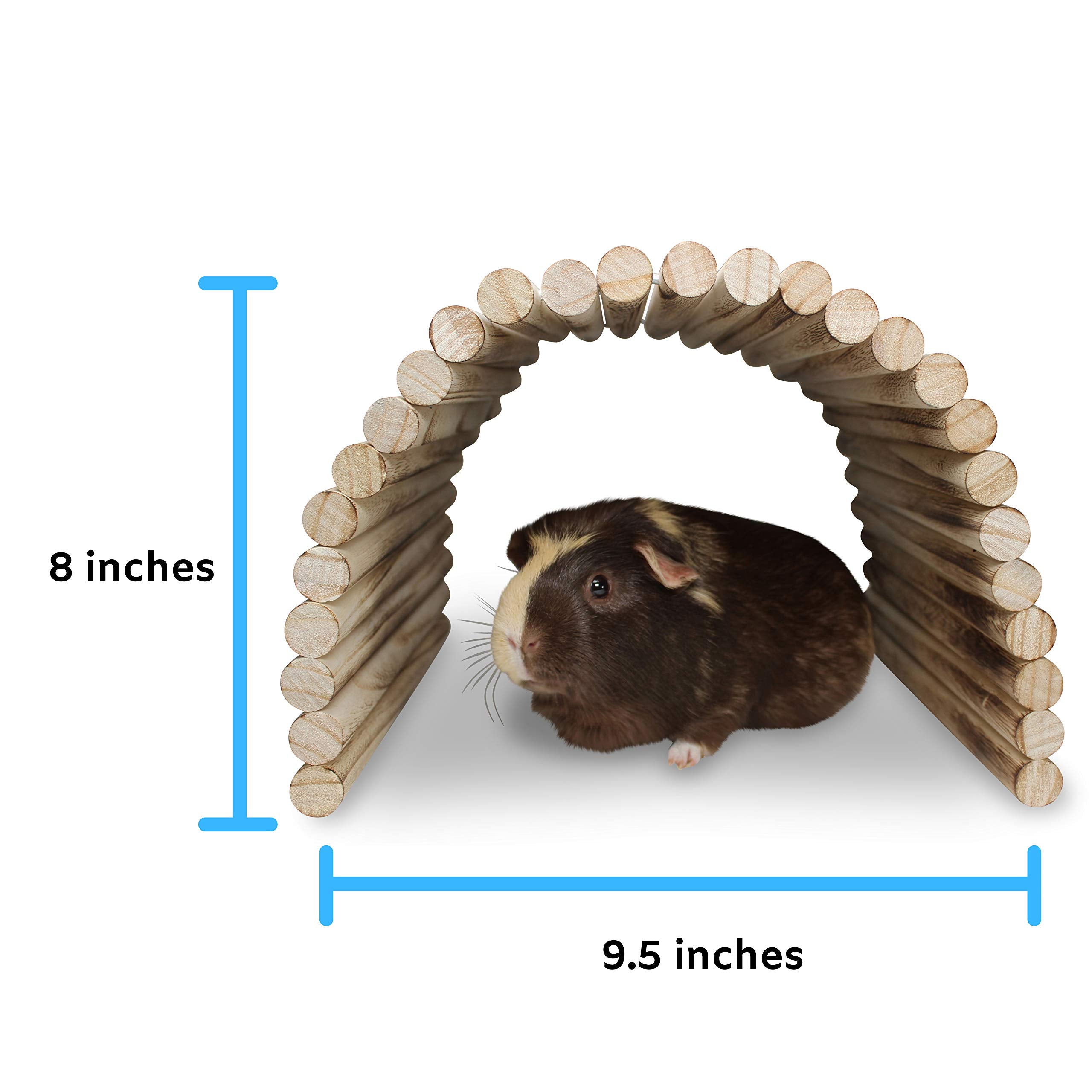Pulse Brands Rampa de madera flexible para facilitar la subida de tortugas o chinchillas.