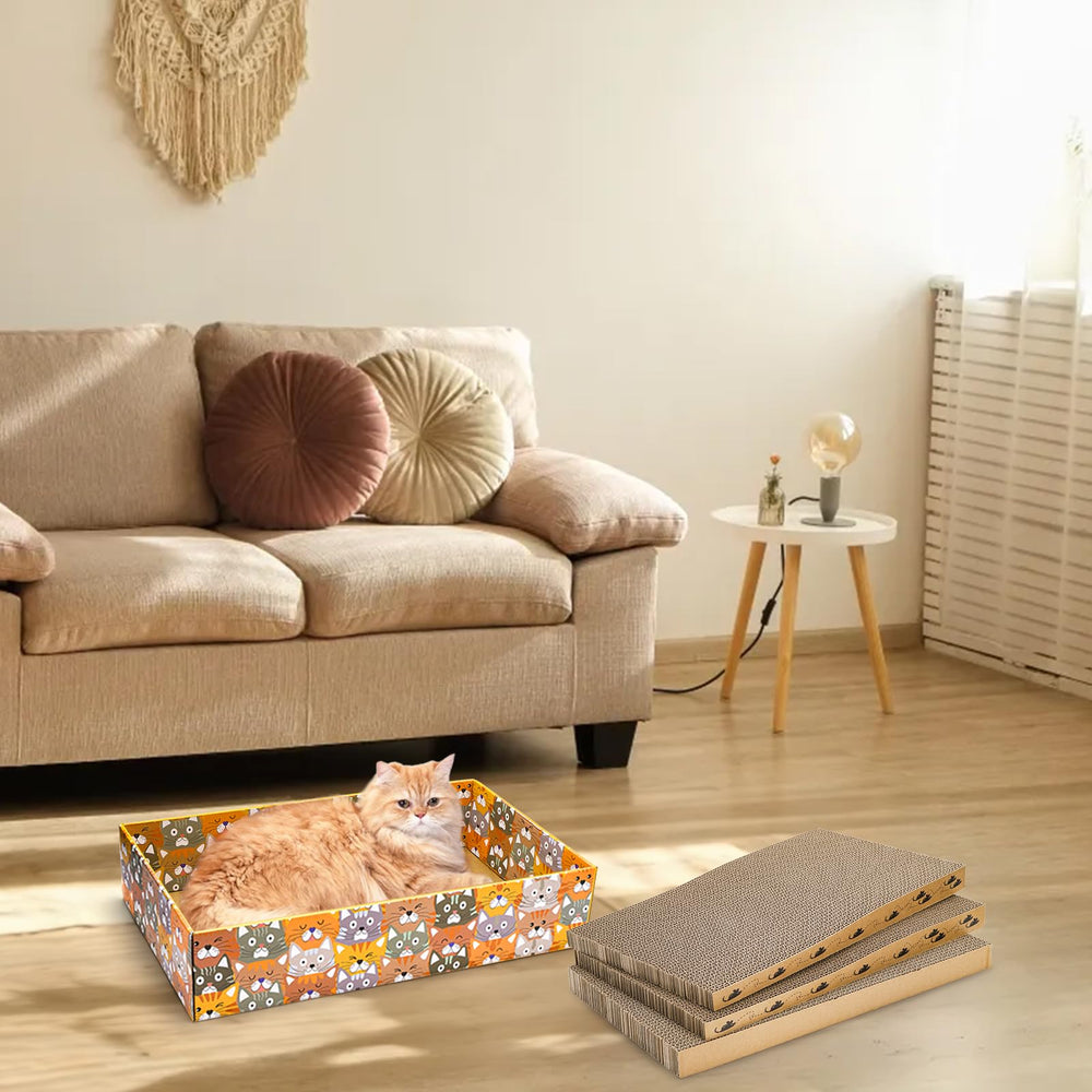 Pumtus diseños lindos: cajas atractivas para gatos curiosos