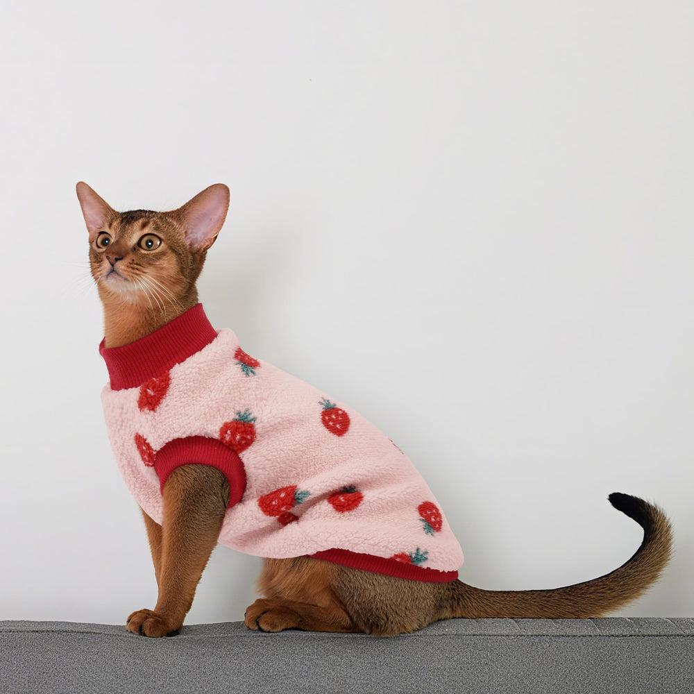 PUMYPOREITY lavado a máquina del suéter de felpa para gatos