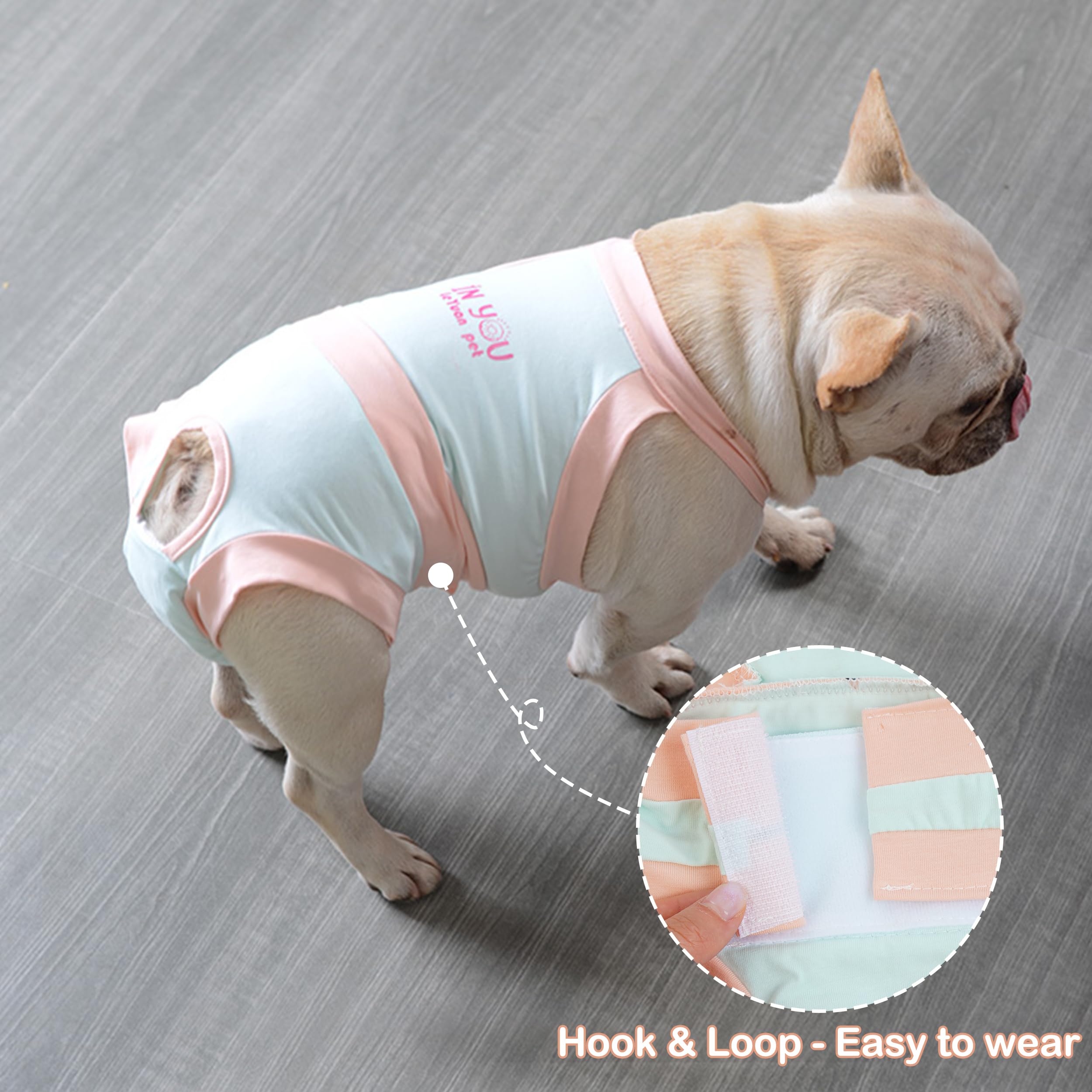 PUMYPOREITY pañal reutilizable para periodo canino, cómodo y limpio