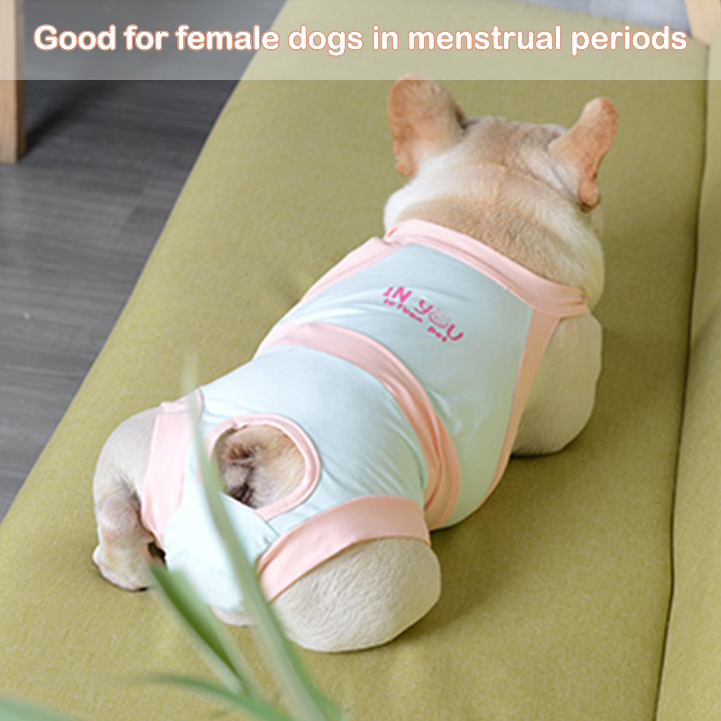 PUMYPOREITY pañal para perros medianos, talla ajustable para mejor ajuste