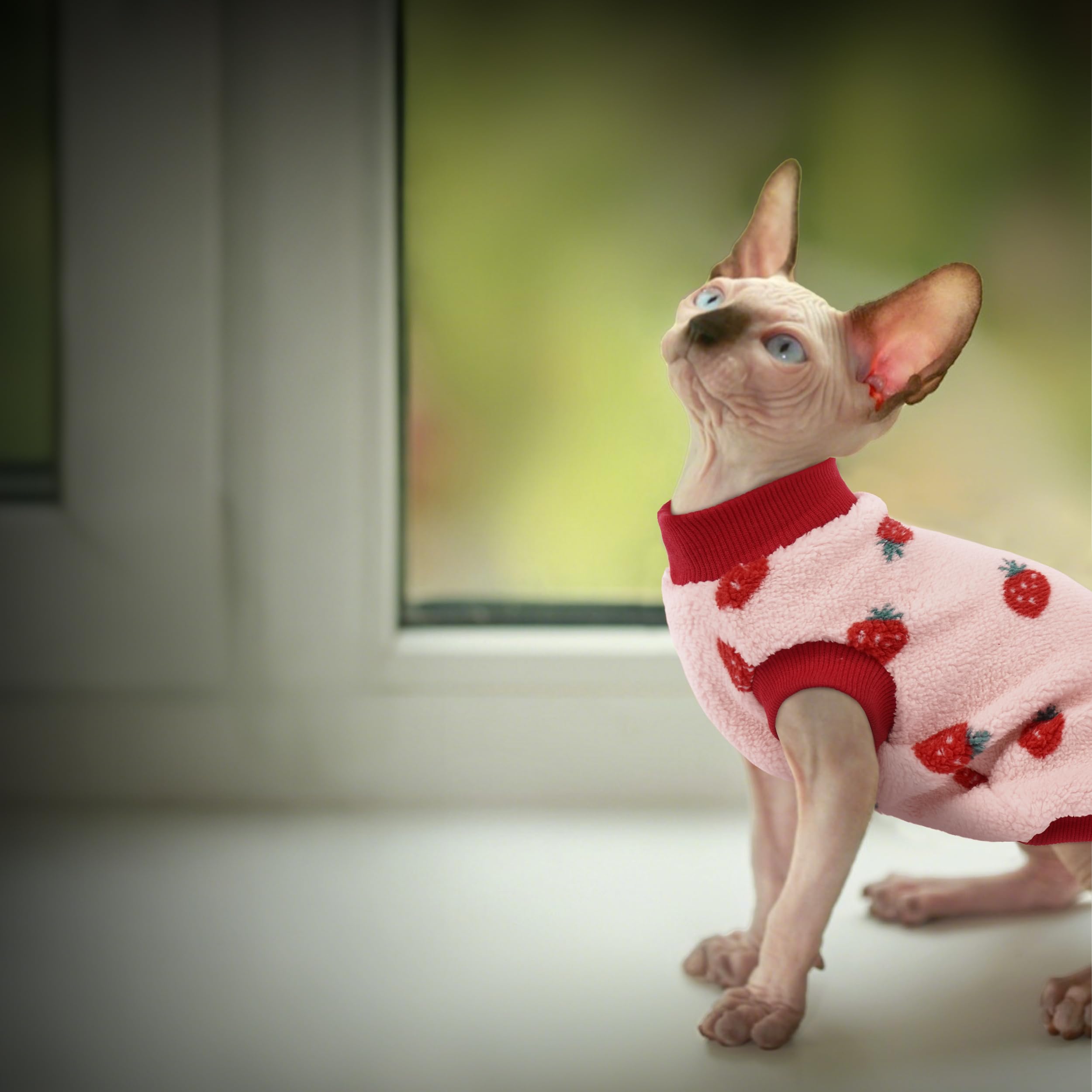 PUMYPOREITY silueta de gato con suéter suave y cómodo