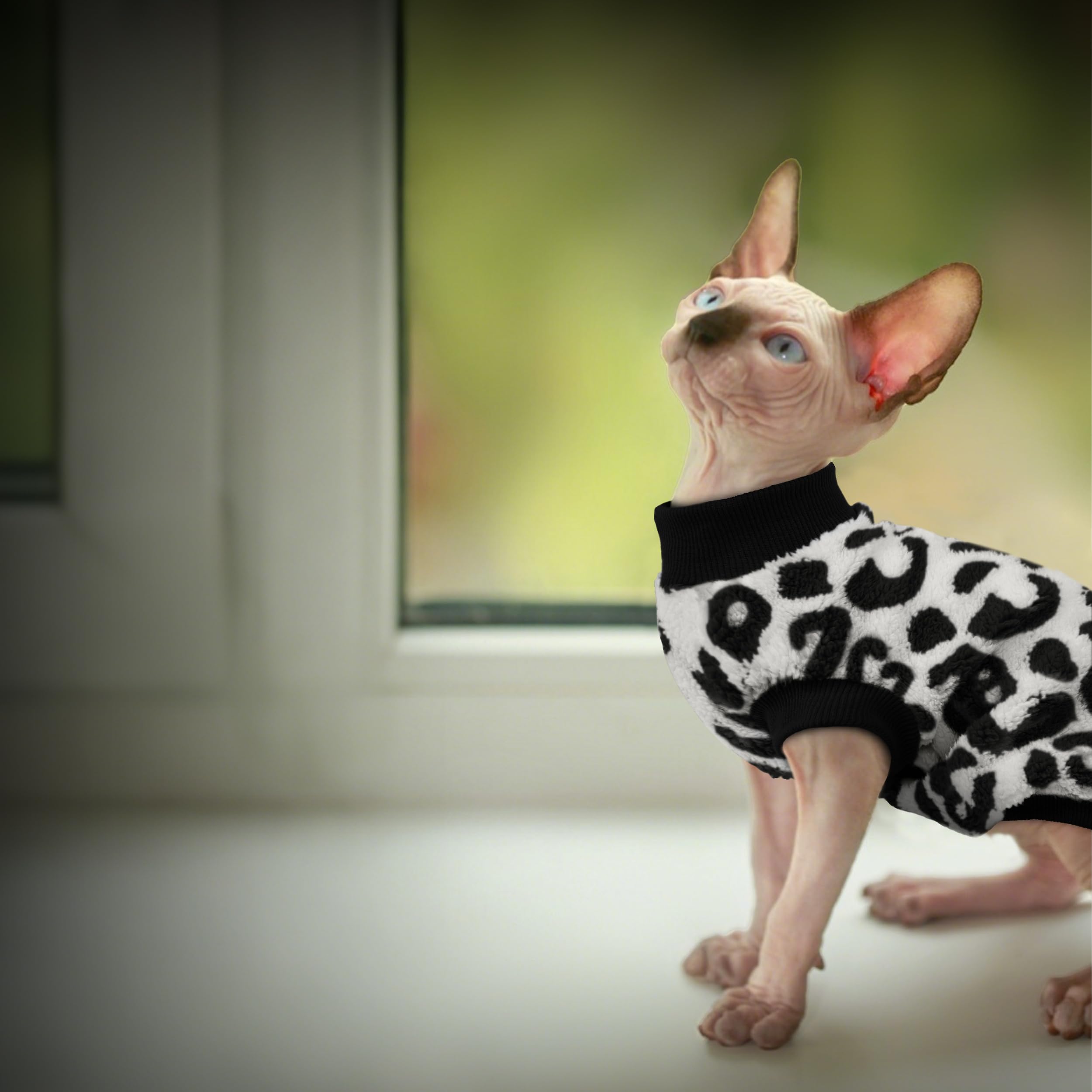 PUMYPOREITY diseño negro leopardo, estilo cómodo para uso interior y exterior