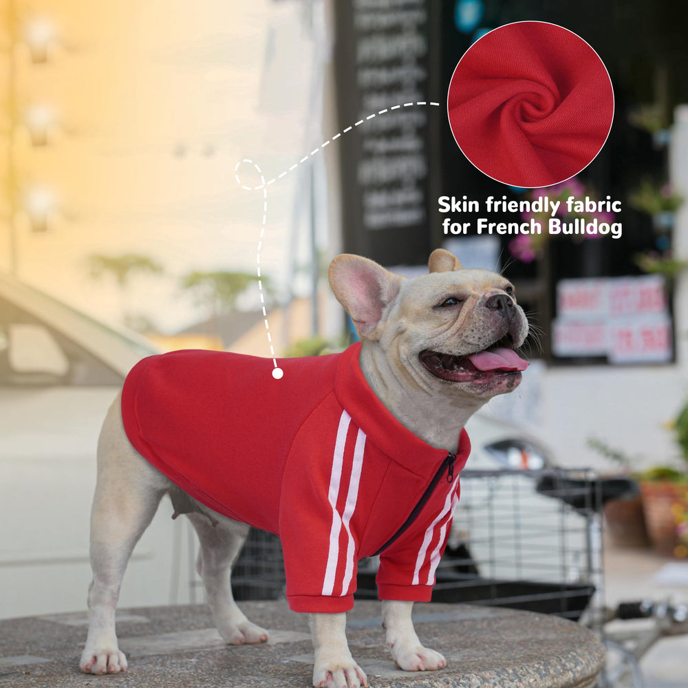 Sudadera PUMYPOREITY con diseño urbano para perros activos.