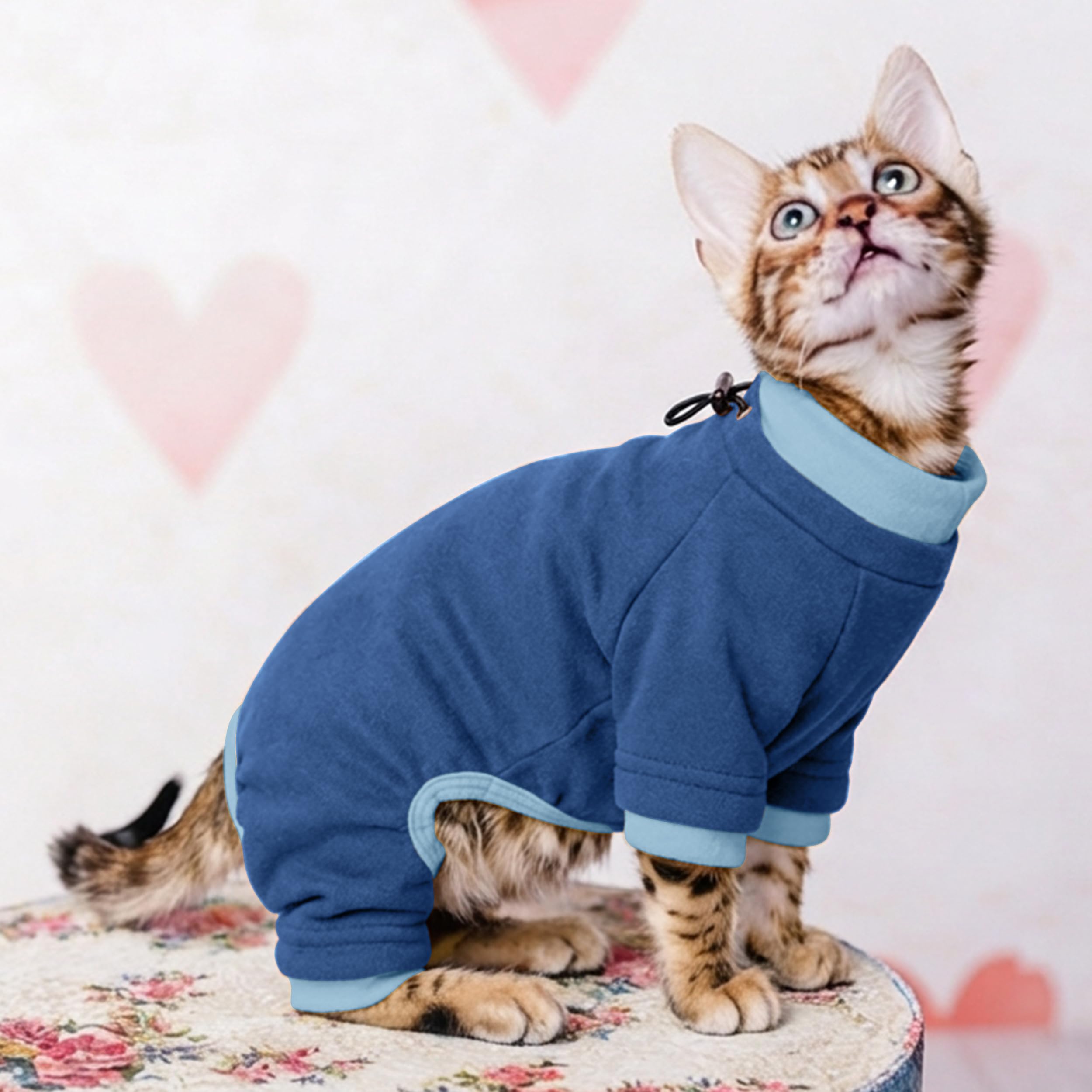 PUMYPOREITY proteccion-postoperatoria azul-2xl: tranquilidad para dueños y gatos.