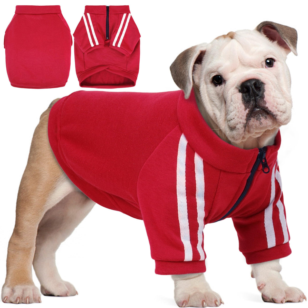 Sudadera PUMYPOREITY para bulldog rojo, ideal para paseos diarios.