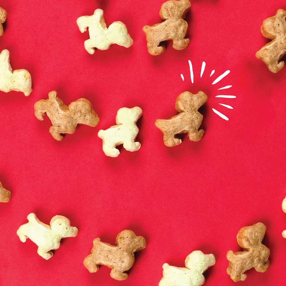Pup Corn Plus ideal para premiar durante el entrenamiento.