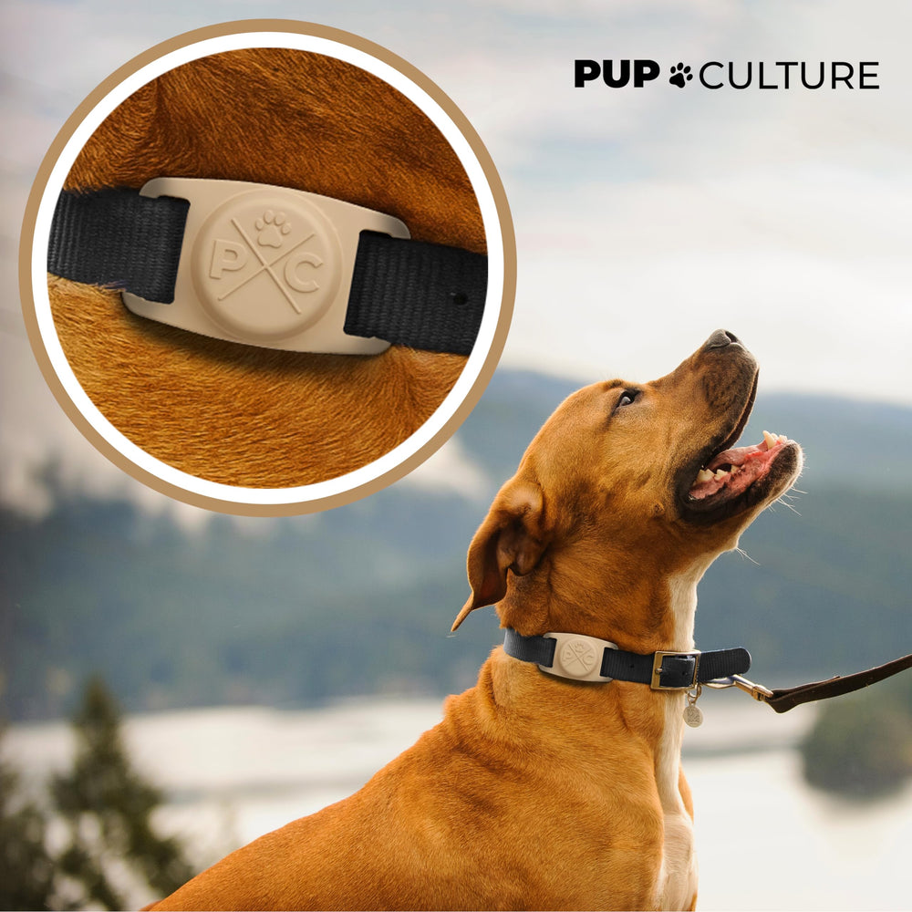 Pup Culture AirTag Collar: clip seguro que mantiene el AirTag en su sitio.