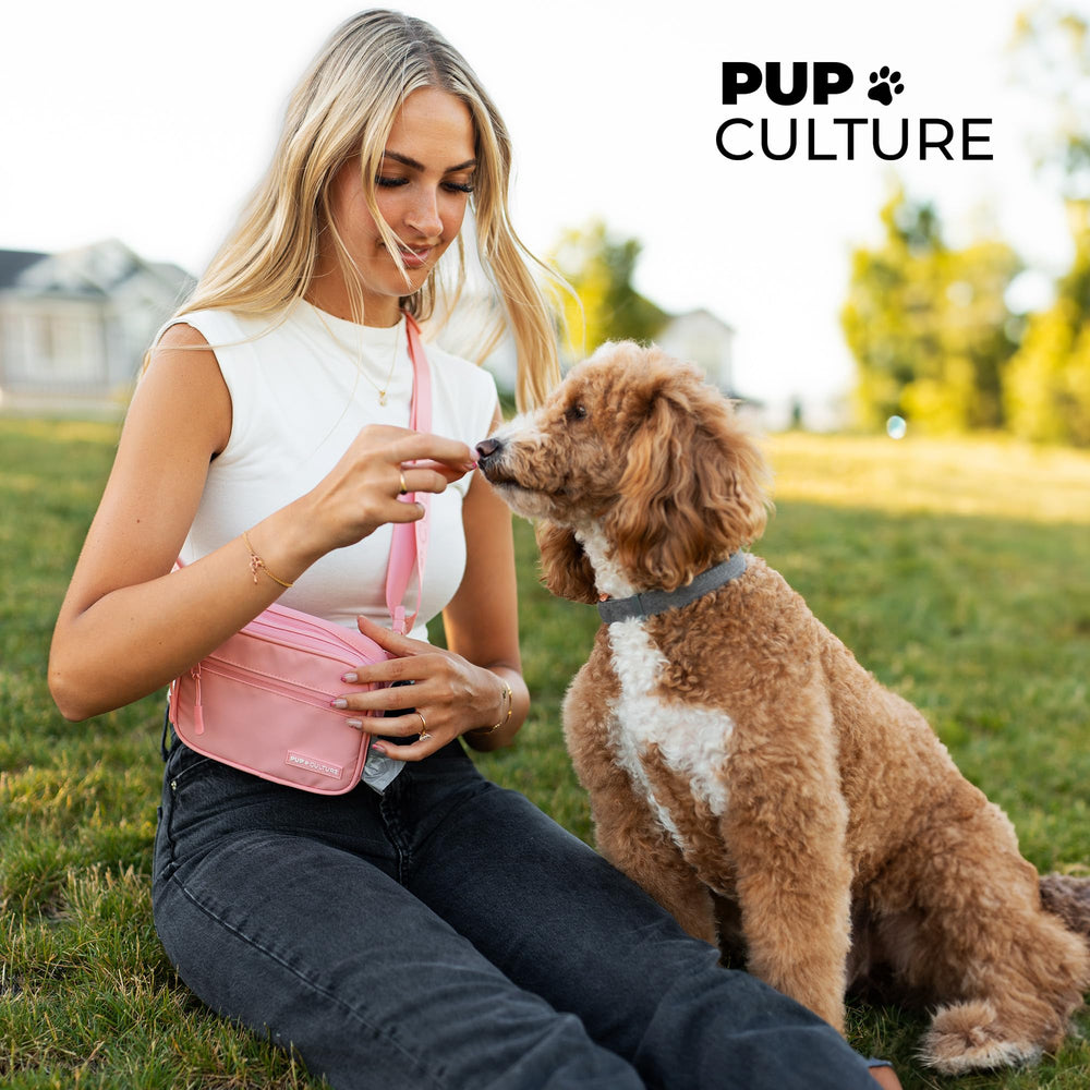 Pup Culture: dispensador de bolsas para perros, paseos más limpios.