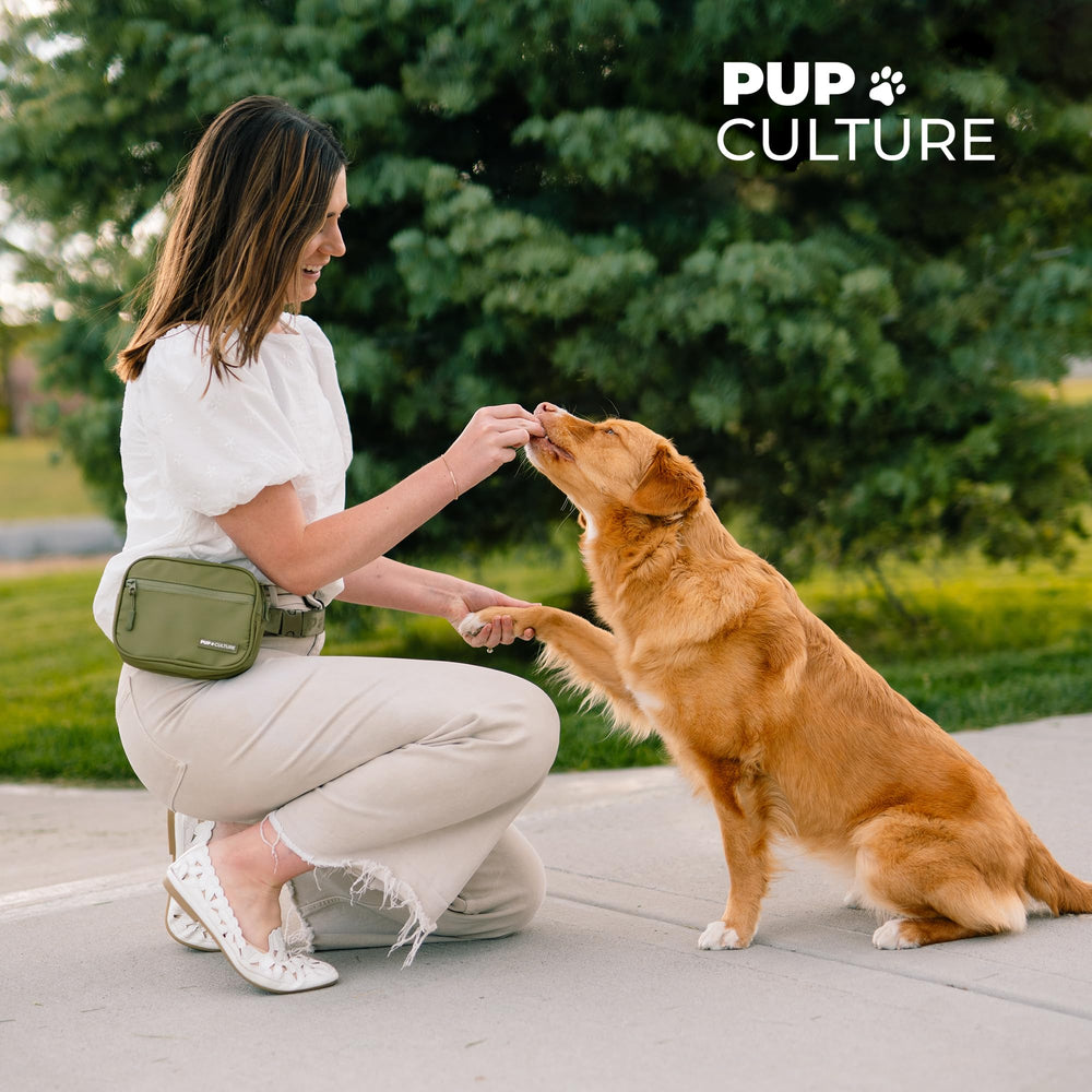 Pup Culture: solución de entrenamiento diario para dueños de perros.